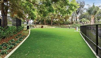 Pet park
