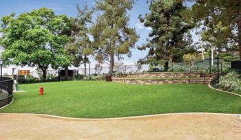 Pet park