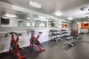 Federal Way apartment for rent - Terra Apartments fitness center