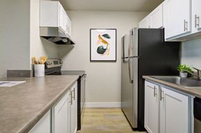 Federal Way apartment for rent - Terra Apartments kitchen