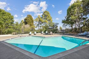 Belmont apartment for rent - a swimming pool with trees in the background