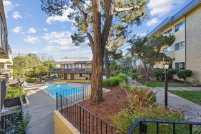 Belmont apartment for rent - a building with a pool and trees in front of it