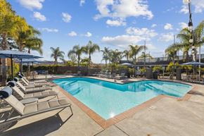 Simi Valley apartment for rent - A large swimming pool surrounded by lounge chairs and palm trees.