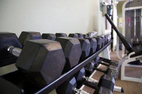 Grove City apartment for rent - Gym Dumbells
