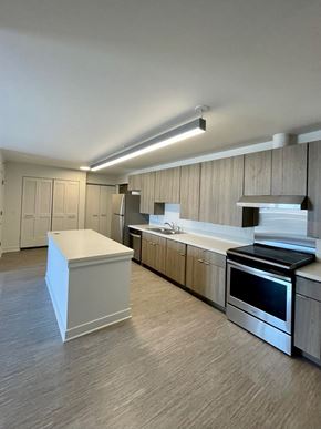 Chicago apartment for rent - Typical kitchen 2