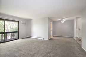 Vernon Hills apartment for rent - Large Living Rooms at Emerald Pointe Apartments, Vernon Hills
