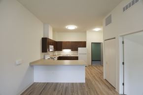 Lansing apartment for rent - Typical kitchen