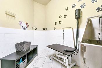 Dog wash