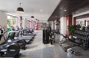 Miami apartment for rent - A gym with a variety of equipment including treadmills, weights, and exercise machines.