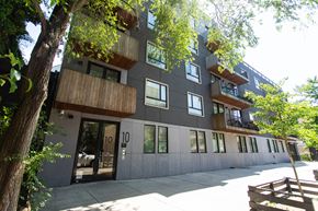 Brooklyn apartment for rent - A modern building with balconies and a tree in front.