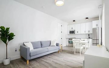Astoria apartment for rent - A grey couch sits in a living room with a potted plant to its left.