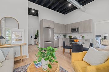 Saint Louis apartment for rent - A living room with a yellow couch and a coffee table with a plant on it.