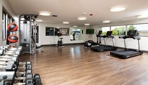 Ft Mcmurray apartment for rent - a gym with cardio machines and weights on a wooden floor