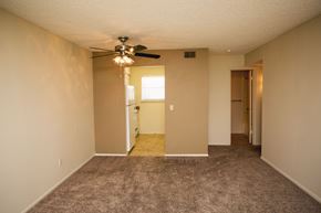 Amarillo apartment for rent - an empty living room with carpet and a ceiling fan