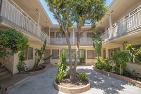 Sherman Oaks apartment for rent - A courtyard with a tree in the middle and plants on the sides.