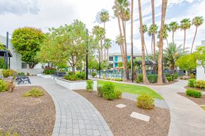 Tempe apartment for rent - a courtyard with palm trees and a building in the background