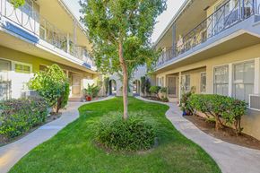 Valley Village apartment for rent - A tree in a courtyard surrounded by buildings.