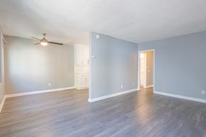 Reseda apartment for rent - an empty living room with blue walls and a ceiling fan