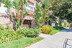 Sherman Oaks apartment for rent - a sidewalk in front of a building with plants and trees