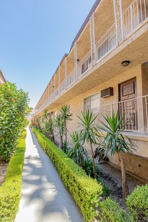 Canoga Park apartment for rent - a street in front of a building with plants and a sidewalk