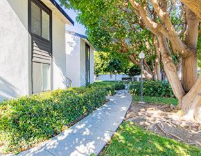 Long Beach apartment for rent - a sidewalk in front of a building with trees