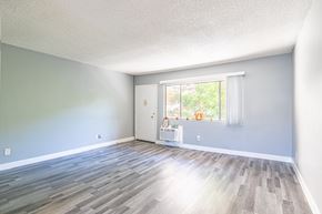 Sherman Oaks apartment for rent - an empty living room with wood floors and a window
