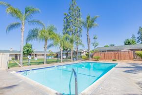 Moreno Valley apartment for rent - a swimming pool with palm trees in front of a building