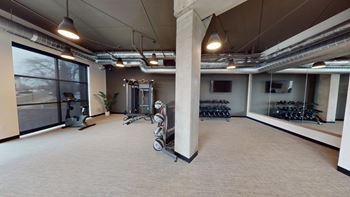 Free weights