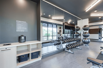 Free weights