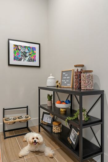 Pet spa and pantry