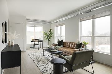 St. Paul apartment for rent - a living room with a brown leather couch and a black and white rug