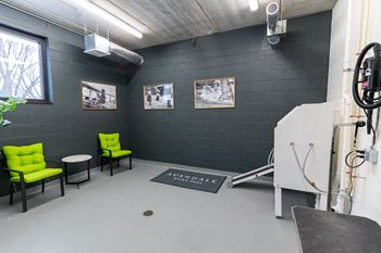 Pet spa