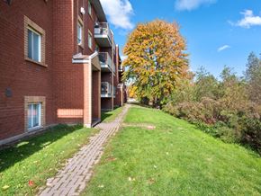 Orillia apartment for rent - a grassy area with a tree in the background