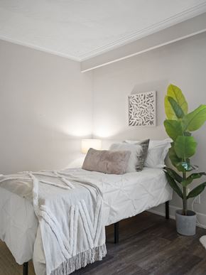 Toronto apartment for rent - a bedroom with a bed and a plant
