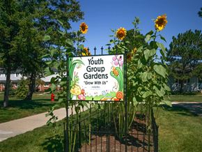 Taylor apartment for rent - a sign for youth group gardens in a garden with sunflowers