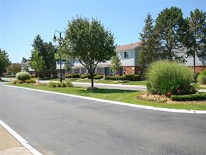 Taylor apartment for rent - a street in a neighborhood with houses and trees