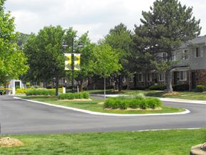 Taylor apartment for rent - a street with houses and trees and a traffic light