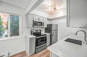 Beaverton apartment for rent - a kitchen with a stove top oven next to a window