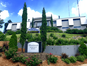 Birmingham apartment for rent - A sign that says "Newly Renovated" is in front of a building.