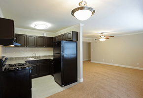 Birmingham apartment for rent - A kitchen with black cabinets and a black refrigerator.