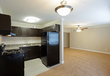 Birmingham apartment for rent - A kitchen with black cabinets and a black refrigerator.