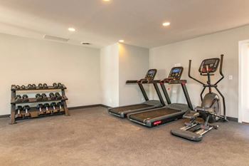 Fitness center w/ cardio & free weights
