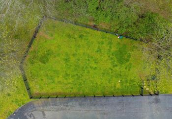 Large dog park