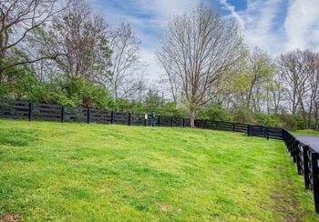 Large dog park