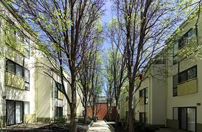 Baltimore apartment for rent - a tree lined street between two apartment buildings