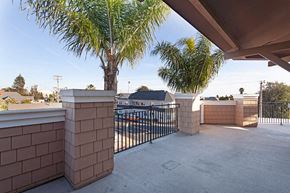 Ventura apartment for rent - A palm tree stands in a courtyard with a black fence.