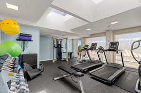 Cambridge apartment for rent - A gym with treadmills, weights, and exercise balls.