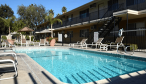 Riverside apartment for rent - A swimming pool with sun loungers and a building in the background.