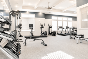 Gulf Breeze apartment for rent - A gym with a variety of equipment including a treadmill, weights, and a bench press.