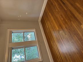 Jamaica Plain apartment for rent - A window with a view of trees is in a room with wooden flooring.
